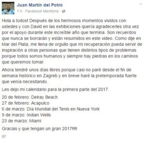 Del Potro confirmó que no jugará contra Italia por Copa Davis