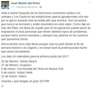 Del Potro confirmó que no jugará contra Italia por Copa Davis