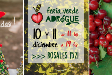 La Feria Verde de Adrogué cierra el año con gran cantidad de productos  ﻿