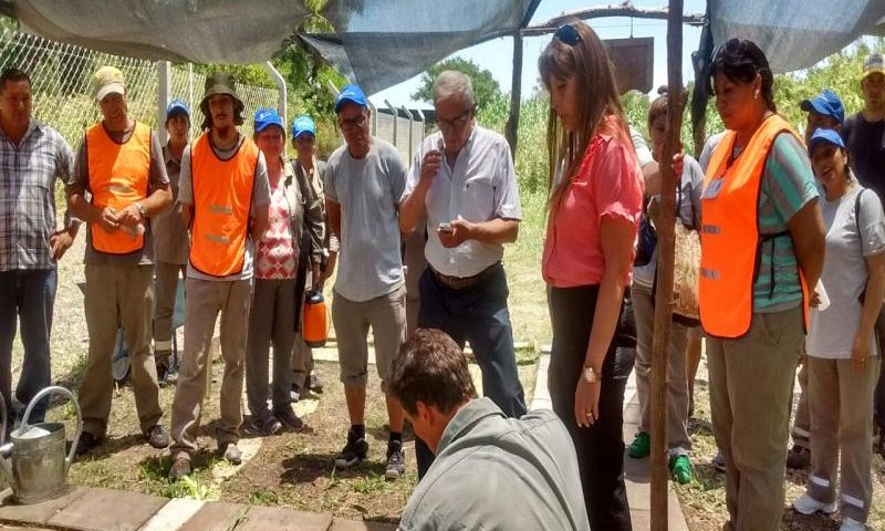 Lomas inaugura su primera ecohuerta