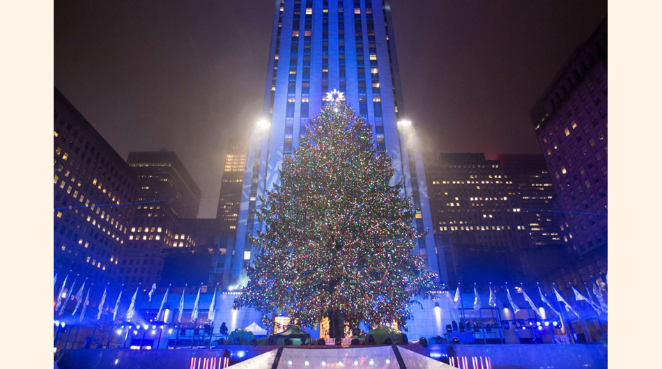 Los árboles de navidad alrededor del mundo 10
