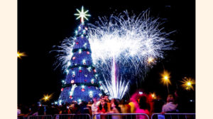 Los árboles de navidad alrededor del mundo 13