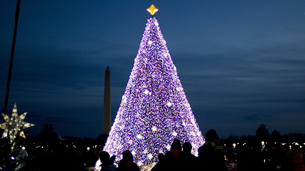 Los árboles de navidad alrededor del mundo 16