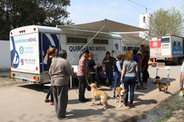 Quirófano móvil gratuito para perros y gatos en Pilar