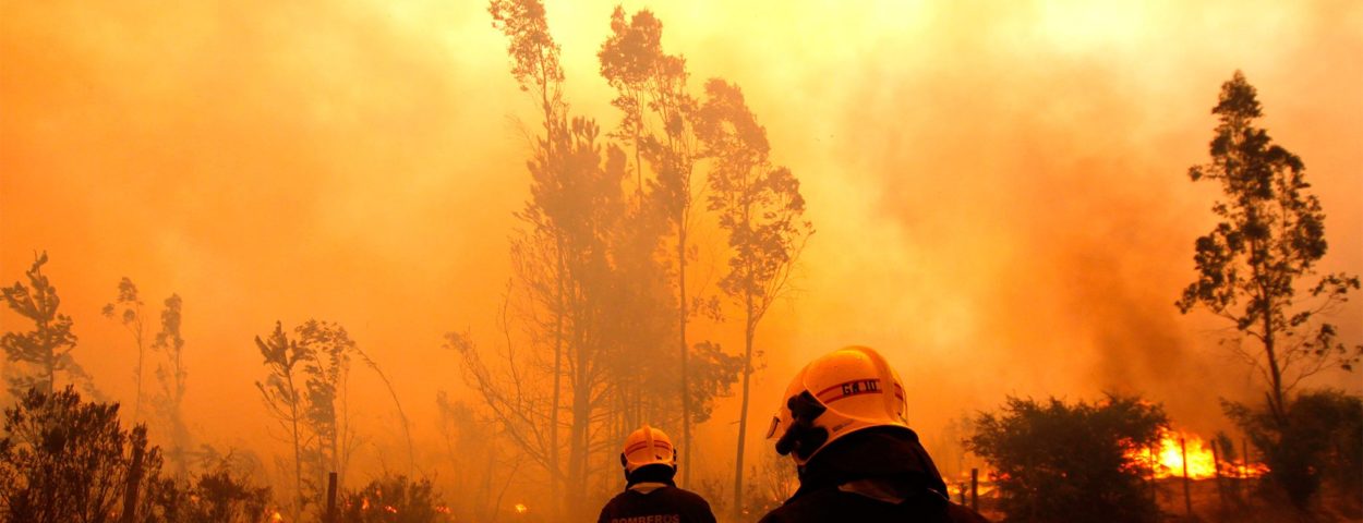 Argentina envió brigadistas a Chile para colaborar contra los incendios forestales