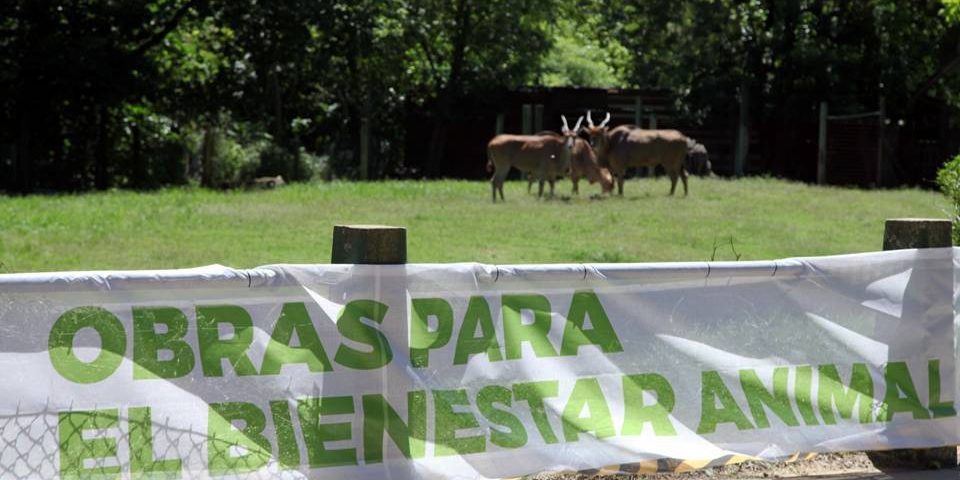 Invertirán más de $12 millones para transformar el Zoo en un Bioparque