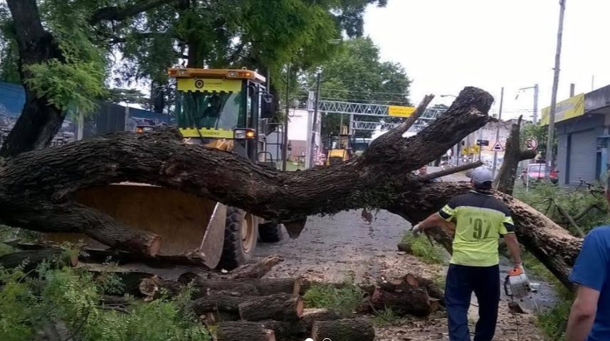 Quilmes trabaja en las zonas afectadas por el temporal