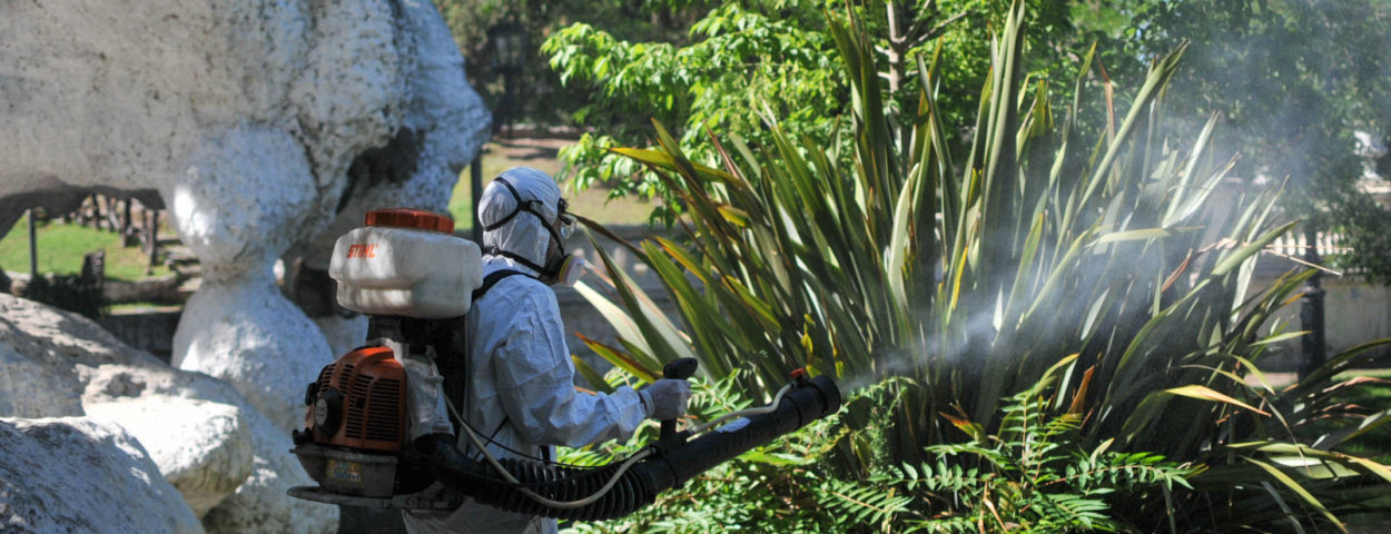 Secretario de Salud informó que “no hay ningún caso confirmado” de Dengue