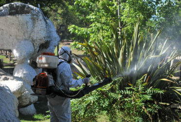 Secretario de Salud informó que “no hay ningún caso confirmado” de Dengue
