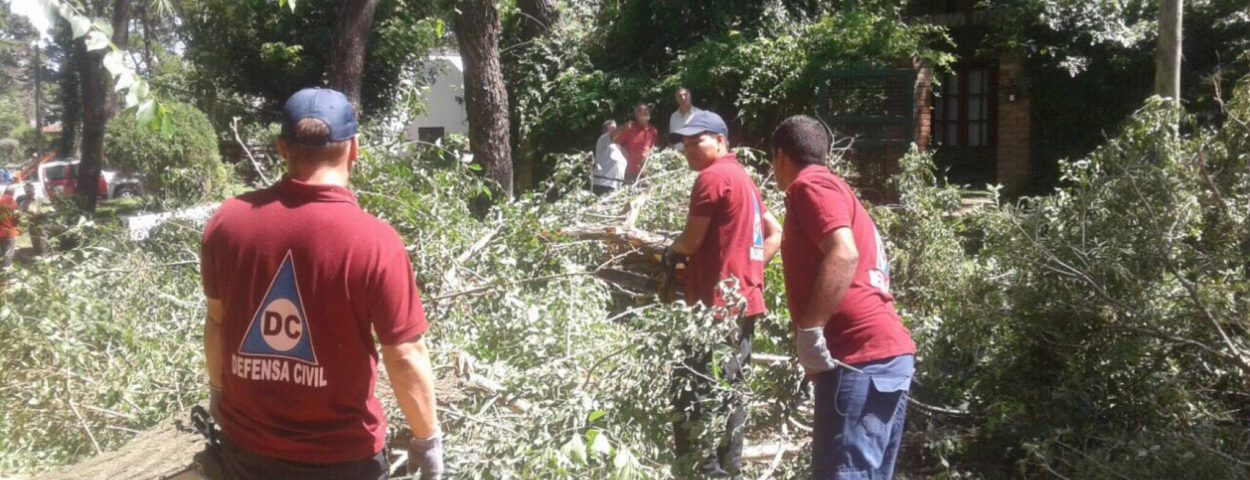 José C. Paz envió colaboración a Gesell 1